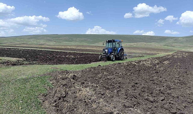 Ardahan&#039;da ata tohumu buğday ve arpa tohumları toprakla buluşturuluyor