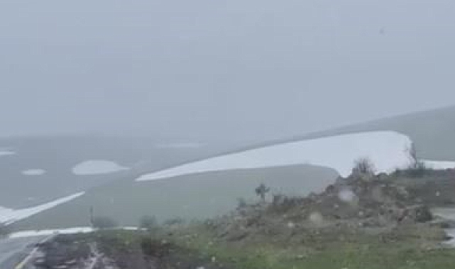 Ardahan&#039;ın yüksek kesimlerinde kar ve sis etkili oldu