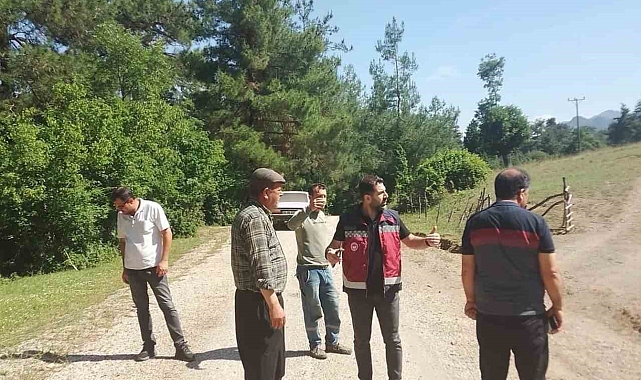 Artan çekirgelere karşı ilaçlama başlatıldı