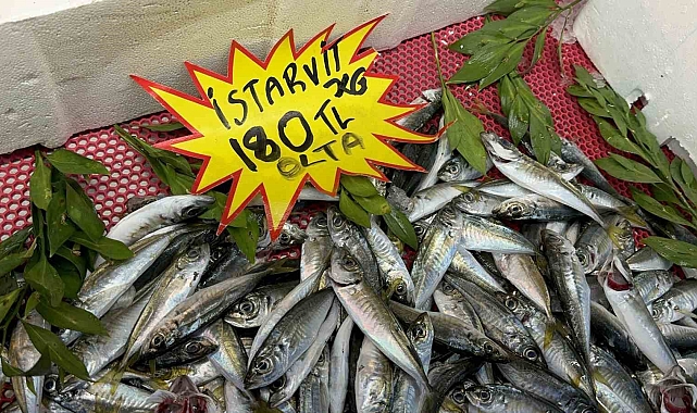 Avlanma yasağına rağmen, tezgahlarda çeşitlilik sürüyor