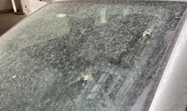 Aydın&#039;da toz taşınımı bekleniyor