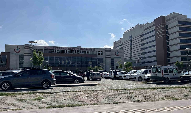 Bahar ayları kene vakalarını artırıyor