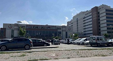 Bahar ayları kene vakalarını artırıyor