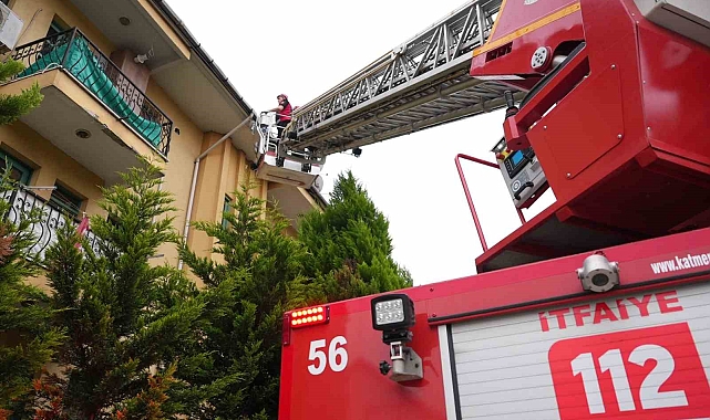 Bahçeye düşen yavru serçenin yuvasını bulmak için çatılar arandı