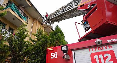 Bahçeye düşen yavru serçenin yuvasını bulmak için çatılar arandı