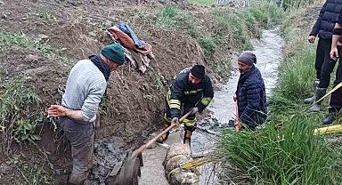 Balçığa saplanan koyunu itfaiye ekipleri kurtardı