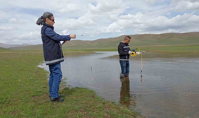 Balık ölümlerinin sebebi araştırılıyor
