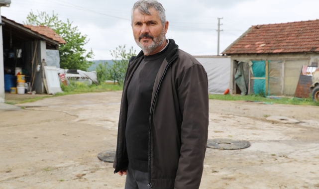 Başıboş köpekler, 60&#039;dan fazla tavuk ve ördek yavrusunu telef etti