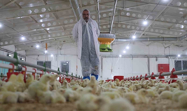 Basın sektöründen emeli oldu devletten aldığı destek ile çiftlik kurdu