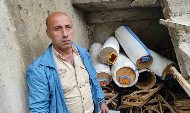 Batman&#039;da aç kalan ayılar arı kovanlarına saldırdı