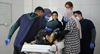 Bayburt Belediyesi Hayvan Bakımevi bünyesinde sokak canlarına özenle bakılıyor