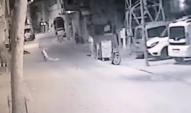 Bayıltana kadar dövdü, sürükleyip yol kenarına bıraktı