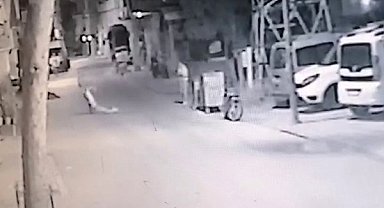 Bayıltana kadar dövdü, sürükleyip yol kenarına bıraktı