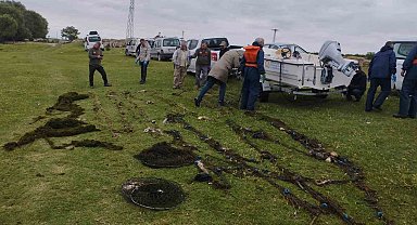 Bilinçsizce atılan ağlar onlarca canlının ölmesine sebep oldu