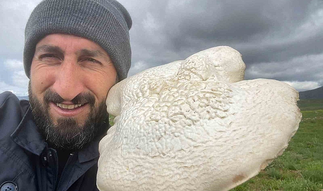 Bingöl&#039;de kilogramlık mantar bulundu