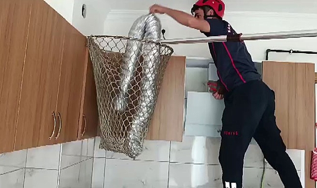 Bir evin Bacasına sıkışan güvercini itfaiye kurtardı