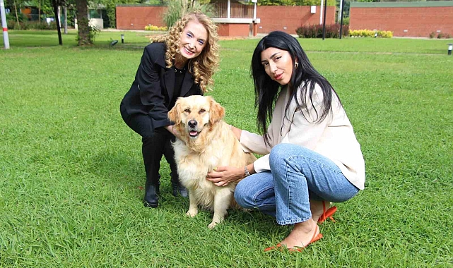 Bir grup akademisyen, hazırladıkları proje ile sokak köpeklerine umut oldular