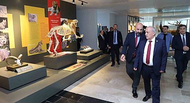 Böcek ve kurutulmuş bitki örnekleri müzede sergileniyor