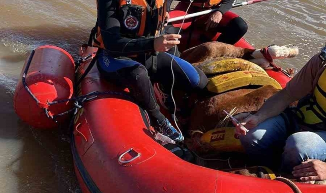 Brezilya&#039;daki sel felaketinde ölü sayısı 113&#039;e yükseldi