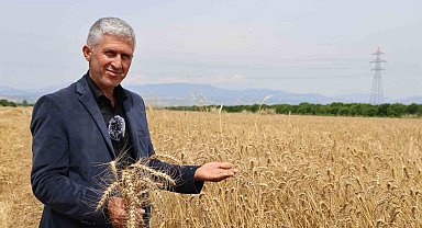 Buğday hasadında yüksek rekolte çiftçinin yüzünü güldürdü
