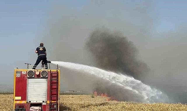 Buğday tarlasında, Yüksek gerilim hattı kaynaklı yangın çıktı