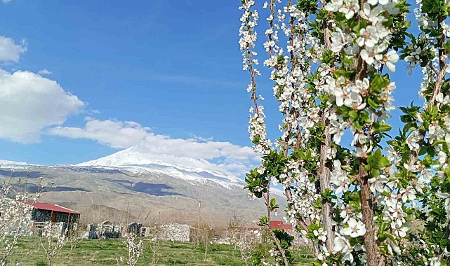 Bungalov evleri turistleri ağırlıyor