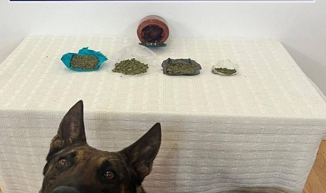 Çantadan çıkan kavanozda esrar yakanladı