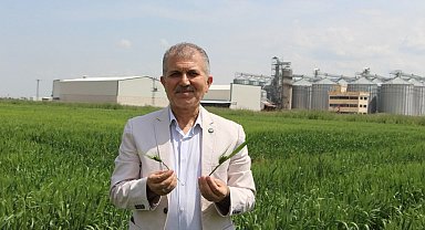 Çiftçi, bu sene buğdaydan yüksek verim bekliyor