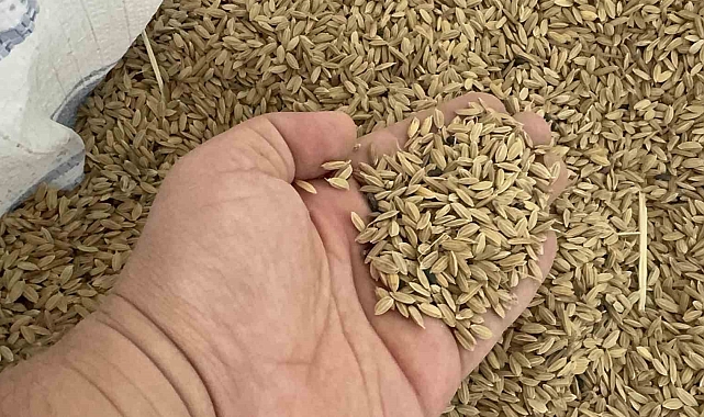 &quot;Çilimli, siyah pirinç ile markalaşacak&quot;