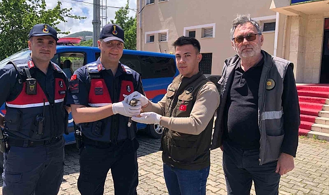 Çobanaldatan kuşu tedavi altına alındı