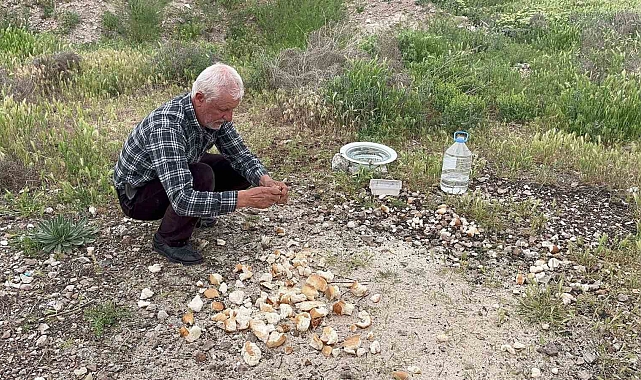Çöplerden topladığı gıdalarla hayvanları besleyen adam, Külliye&#039;de ağırlanacak