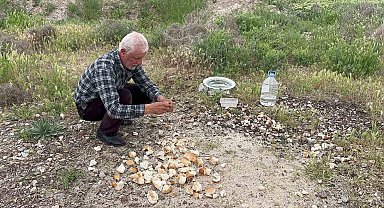 Çöplerden topladığı gıdalarla hayvanları besleyen adam, Külliye'de ağırlanacak
