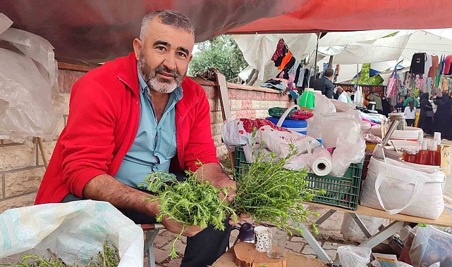 Dağlardan topladığı kekiklerle ev ekonomisine katkıda bulunuyor