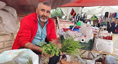 Dağlardan topladığı kekiklerle ev ekonomisine katkıda bulunuyor