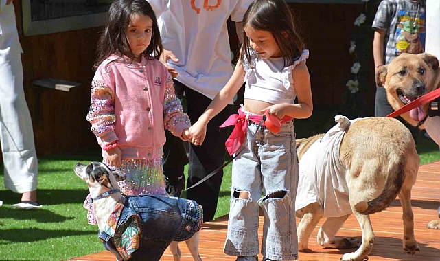 Defilede mankenlerle yürüyen engelli hayvanlar renkli görüntüler oluşturdu