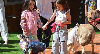 Defilede mankenlerle yürüyen engelli hayvanlar renkli görüntüler oluşturdu