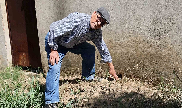 Define avcıları, Yaşar dedeye rahat vermiyor