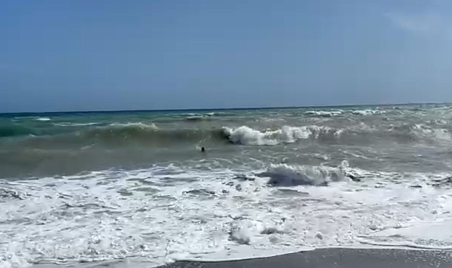 Denizde mahsur kalan şahısı, dev dalgalar kurtardı
