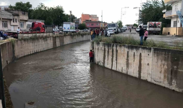 Dereye düşen kediyi kurtaran öğrenci kendisi mahsur kaldı