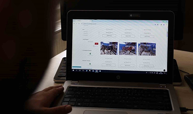 Dijital kurban pazarında, vatandaşlar, yemek siparişi verir gibi kurbanlık hissesi alıyor