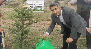 Dikimi yapılan fidanlara can suyu verildi