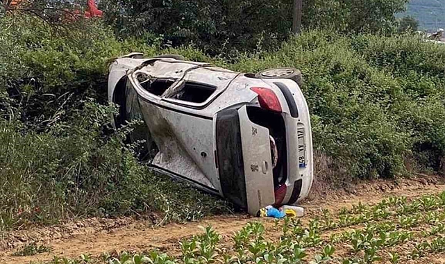 Direksiyon hakimiyetini kaybeden Araç tütün tarlasına uçtu