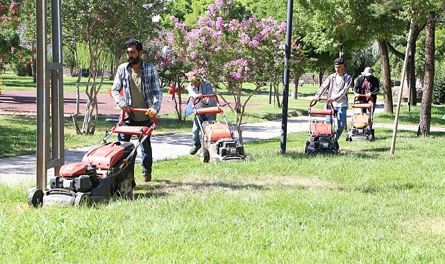 Diyarbakır Büyükşehir Belediyesi, çim biçme işlemi gerçekleştirdi