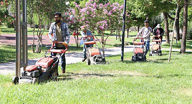 Diyarbakır Büyükşehir Belediyesi, çim biçme işlemi gerçekleştirdi