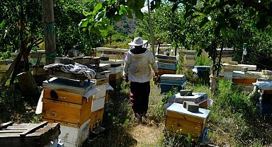 Doğu ve Güneydoğu Anadolu'da, Bal arılarının yayla yolculuğu başladı