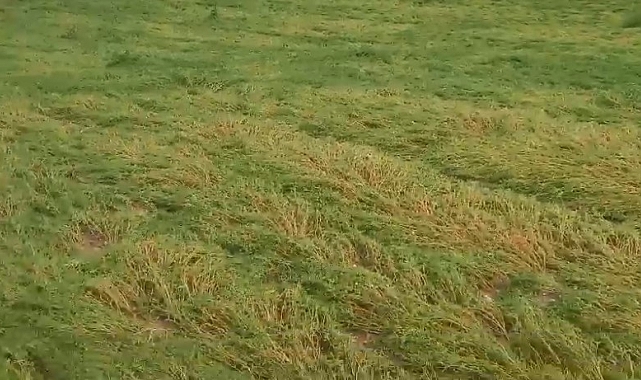 Dolu, ekili arazileri vurdu