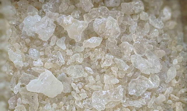 Dünyada sadece Yunanistan&#039;ın Sakız Adası&#039;nda ve Çeşme&#039;de buluna damla sakızı, tescillendi