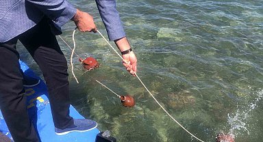 Ege denizi Akdeniz suyuyla buşacak