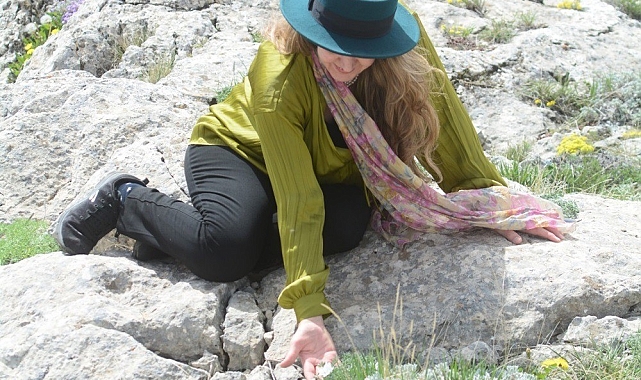 Endemik türler arasında bulunan Kalender Çiçeği ilgi odağı oldu