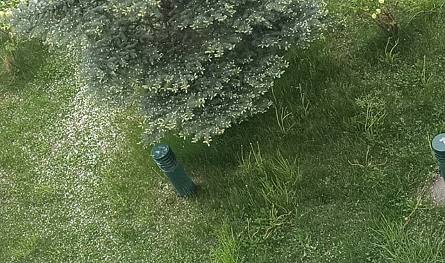 Erciş&#039;te yağmur ve dolu etkili oldu